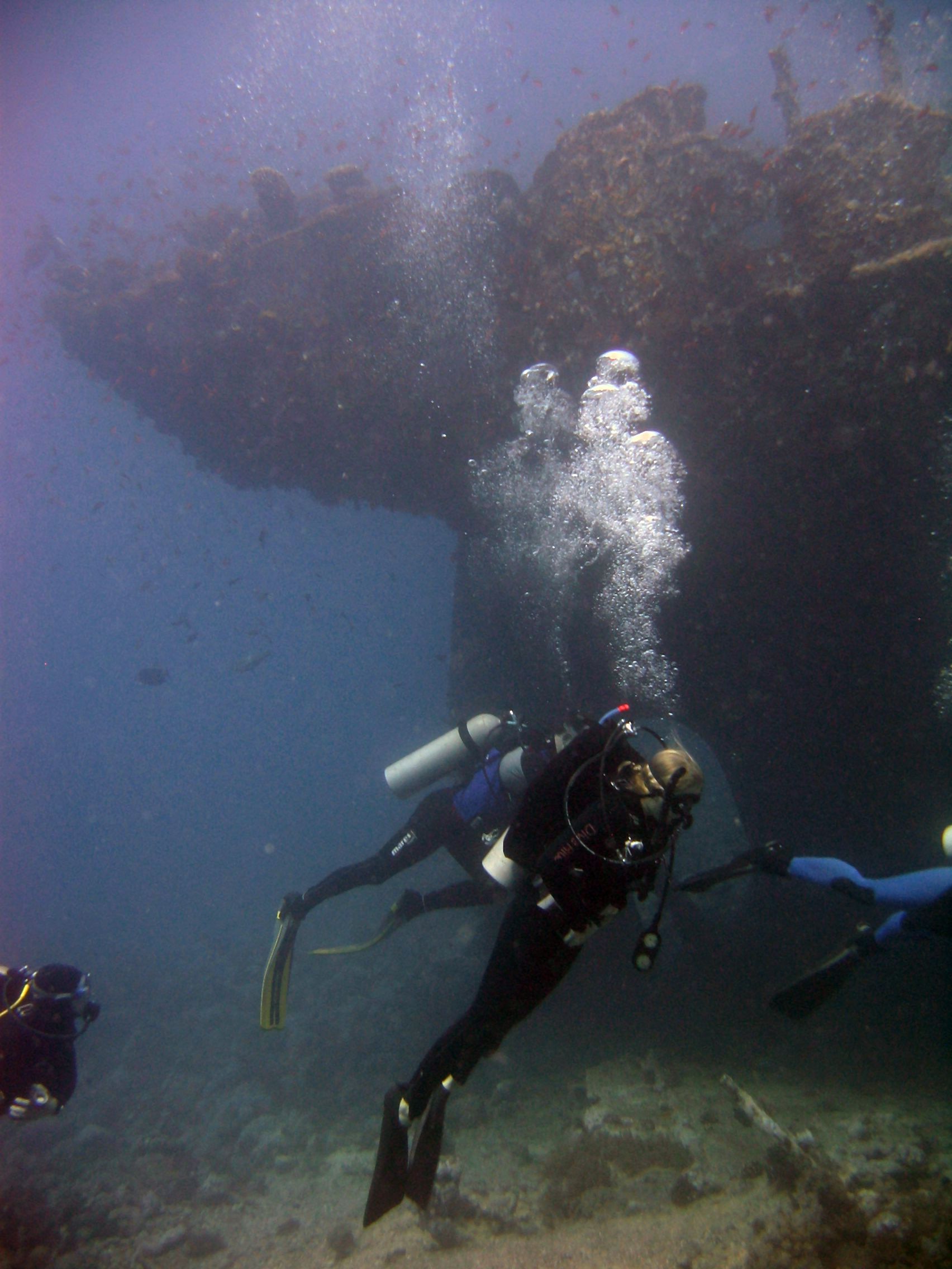 Slide image